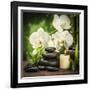 Spa Concept with Zen Basalt Stones and Orchid-scorpp-Framed Photographic Print