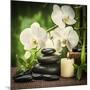 Spa Concept with Zen Basalt Stones and Orchid-scorpp-Mounted Photographic Print