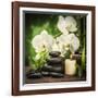 Spa Concept with Zen Basalt Stones and Orchid-scorpp-Framed Photographic Print