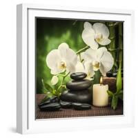 Spa Concept with Zen Basalt Stones and Orchid-scorpp-Framed Photographic Print