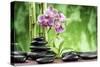 Spa Concept with Zen Basalt Stones ,Orchid and Bamboo-scorpp-Stretched Canvas