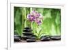 Spa Concept with Zen Basalt Stones ,Orchid and Bamboo-scorpp-Framed Photographic Print