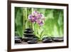 Spa Concept with Zen Basalt Stones ,Orchid and Bamboo-scorpp-Framed Photographic Print