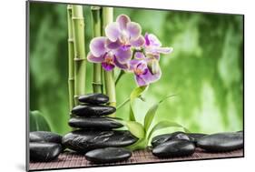 Spa Concept with Zen Basalt Stones ,Orchid and Bamboo-scorpp-Mounted Photographic Print