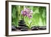 Spa Concept with Zen Basalt Stones ,Orchid and Bamboo-scorpp-Framed Photographic Print