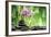 Spa Concept with Zen Basalt Stones ,Orchid and Bamboo-scorpp-Framed Photographic Print