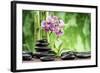 Spa Concept with Zen Basalt Stones ,Orchid and Bamboo-scorpp-Framed Photographic Print