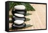 Spa Concept With Zen Stones And Leaves-alekleks-Framed Stretched Canvas