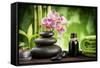 Spa Concept Zen Basalt Stones ,Orchid and Candle-scorpp-Framed Stretched Canvas