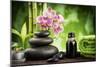 Spa Concept Zen Basalt Stones ,Orchid and Candle-scorpp-Mounted Photographic Print