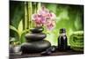 Spa Concept Zen Basalt Stones ,Orchid and Candle-scorpp-Mounted Photographic Print