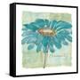 Spa Daisies I-Chris Paschke-Framed Stretched Canvas