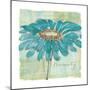 Spa Daisies I-Chris Paschke-Mounted Art Print