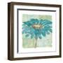 Spa Daisies I-Chris Paschke-Framed Art Print