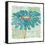 Spa Daisies I-Chris Paschke-Framed Stretched Canvas