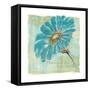 Spa Daisies II-Chris Paschke-Framed Stretched Canvas