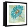 Spa Daisies II-Chris Paschke-Framed Stretched Canvas