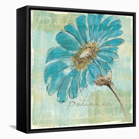 Spa Daisies II-Chris Paschke-Framed Stretched Canvas