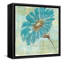 Spa Daisies II-Chris Paschke-Framed Stretched Canvas