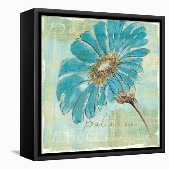 Spa Daisies II-Chris Paschke-Framed Stretched Canvas