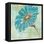 Spa Daisies II-Chris Paschke-Framed Stretched Canvas