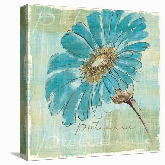 Spa Daisies II-Chris Paschke-Stretched Canvas