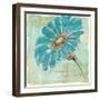 Spa Daisies II-Chris Paschke-Framed Art Print