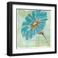 Spa Daisies II-Chris Paschke-Framed Art Print