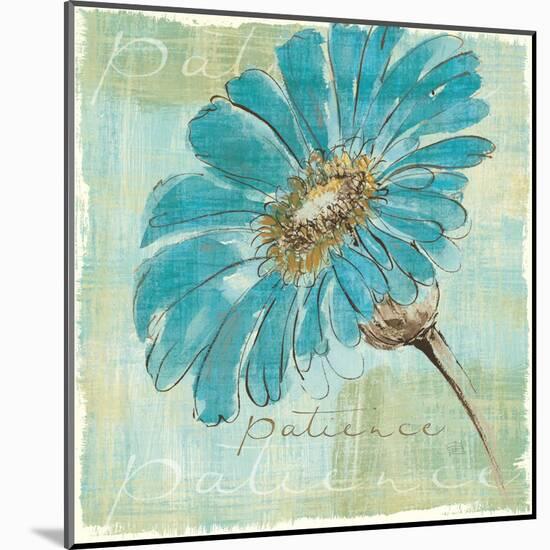 Spa Daisies II-Chris Paschke-Mounted Art Print