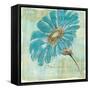 Spa Daisies II-Chris Paschke-Framed Stretched Canvas