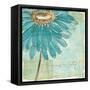 Spa Daisies III-Chris Paschke-Framed Stretched Canvas