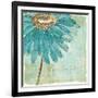 Spa Daisies III-Chris Paschke-Framed Art Print