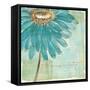 Spa Daisies III-Chris Paschke-Framed Stretched Canvas