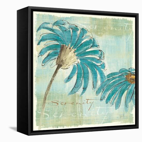 Spa Daisies IV-Chris Paschke-Framed Stretched Canvas