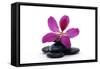 Spa Essentials- Macro of Orchid with Pyramid of Stones-crystalfoto-Framed Stretched Canvas