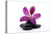 Spa Essentials- Macro of Orchid with Pyramid of Stones-crystalfoto-Stretched Canvas