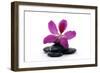 Spa Essentials- Macro of Orchid with Pyramid of Stones-crystalfoto-Framed Photographic Print