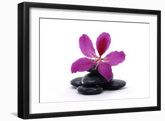 Spa Essentials- Macro of Orchid with Pyramid of Stones-crystalfoto-Framed Photographic Print