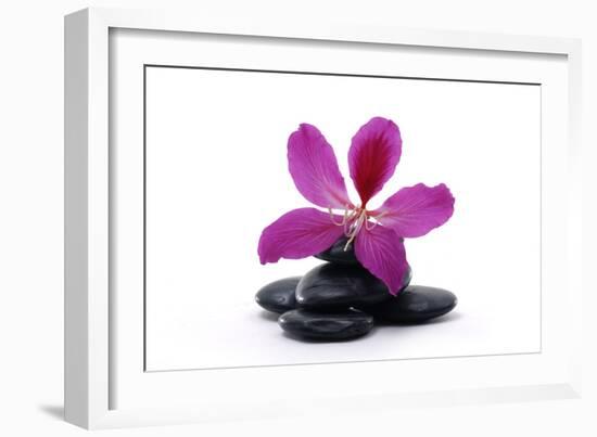 Spa Essentials- Macro of Orchid with Pyramid of Stones-crystalfoto-Framed Photographic Print