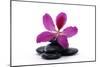Spa Essentials- Macro of Orchid with Pyramid of Stones-crystalfoto-Mounted Photographic Print