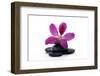 Spa Essentials- Macro of Orchid with Pyramid of Stones-crystalfoto-Framed Photographic Print