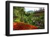 Spa Gardens with View of Montecatini Alto at Montecatini Thermal Baths, Tuscany, Italy-null-Framed Art Print