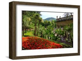 Spa Gardens with View of Montecatini Alto at Montecatini Thermal Baths, Tuscany, Italy-null-Framed Art Print