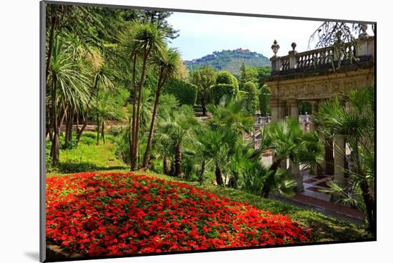 Spa Gardens with View of Montecatini Alto at Montecatini Thermal Baths, Tuscany, Italy-null-Mounted Art Print