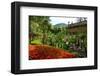 Spa Gardens with View of Montecatini Alto at Montecatini Thermal Baths, Tuscany, Italy-null-Framed Art Print