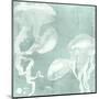 Spa Jellyfish IX-Grace Popp-Mounted Giclee Print