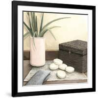 Spa Retreat IV-Megan Meagher-Framed Art Print