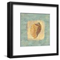 Spa Sea Shell I-null-Framed Giclee Print