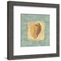 Spa Sea Shell I-null-Framed Giclee Print