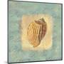 Spa Sea Shell I-null-Mounted Giclee Print